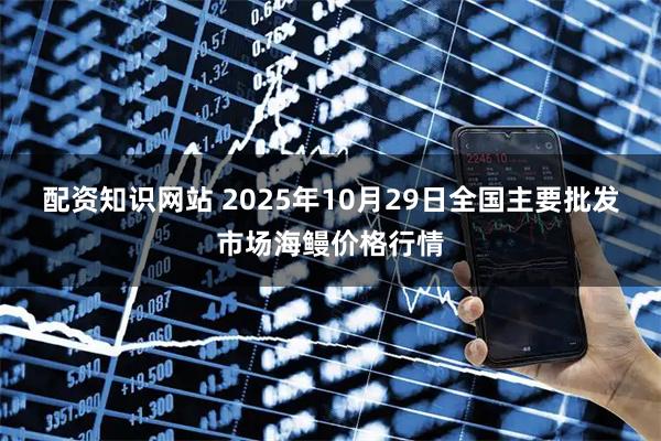 配资知识网站 2025年10月29日全国主要批发市场海鳗价格行情